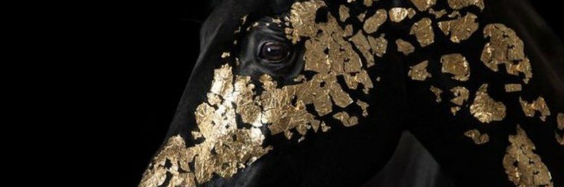 mman2323's profile banner image