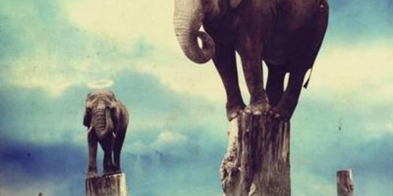 partieharder's profile banner image