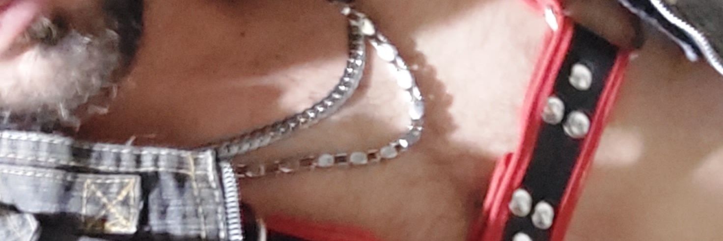 LA FULANA QUE ANDA CON TU PAPÁ banner
