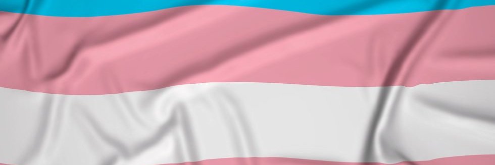npcdansledome's profile banner image