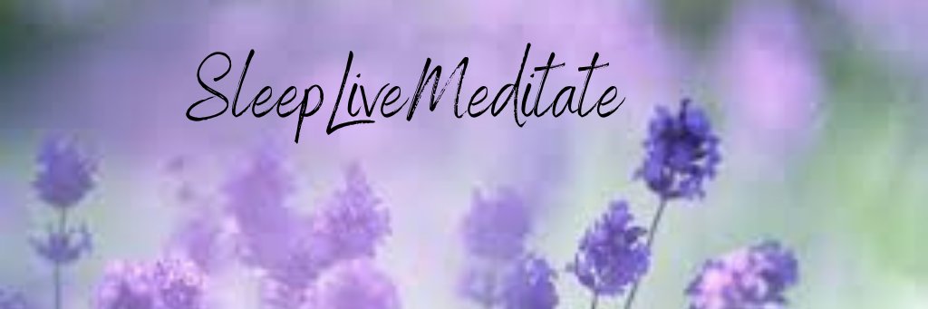 live_meditate's profile banner image