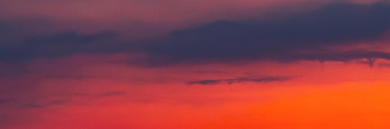 Ibrahim Haroon banner