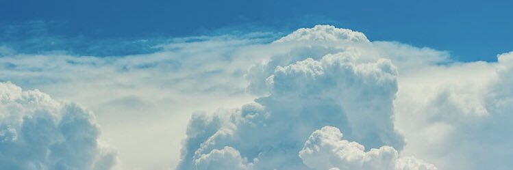 roscoeboydii's profile banner image