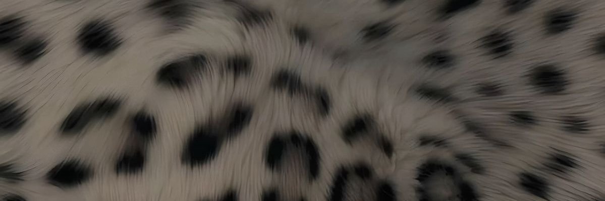 gigi vai ver o aespa!! banner