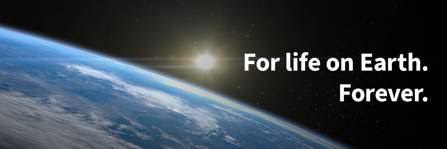 stanforddoerr's profile banner image