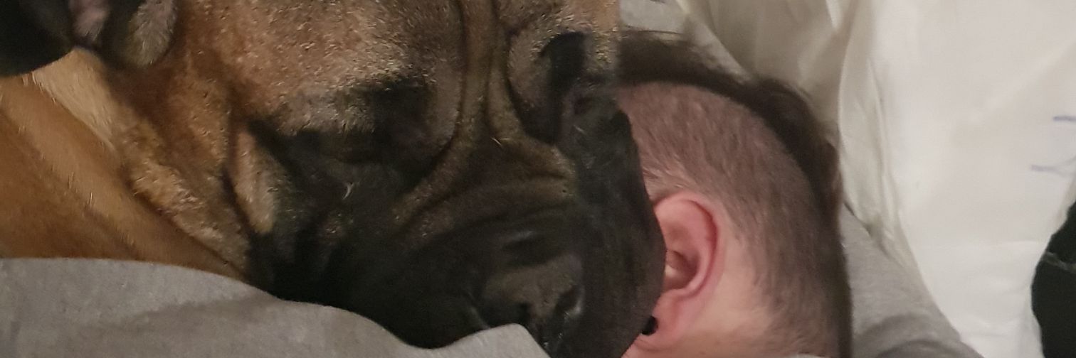 Mrs_Pease's profile banner image
