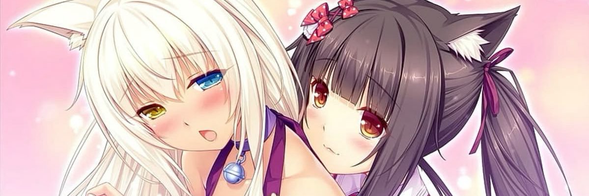 cocoonekoo's profile banner image