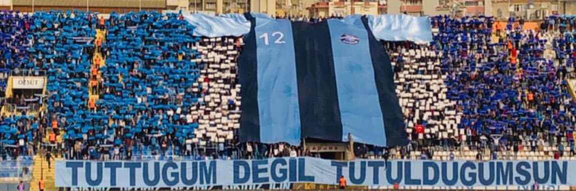 Tekgerçekmavişimşek banner