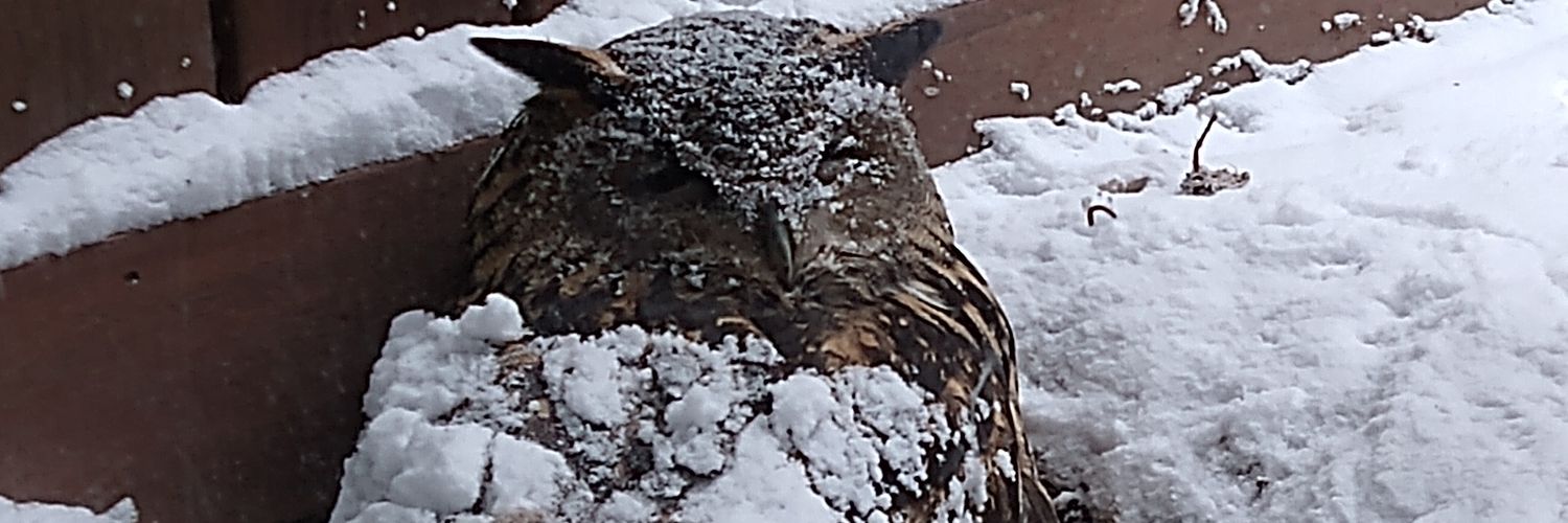 Birdiesbefree banner