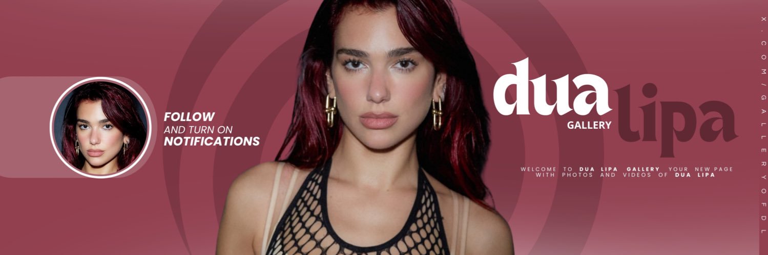 Dua Lipa Gallery's banner