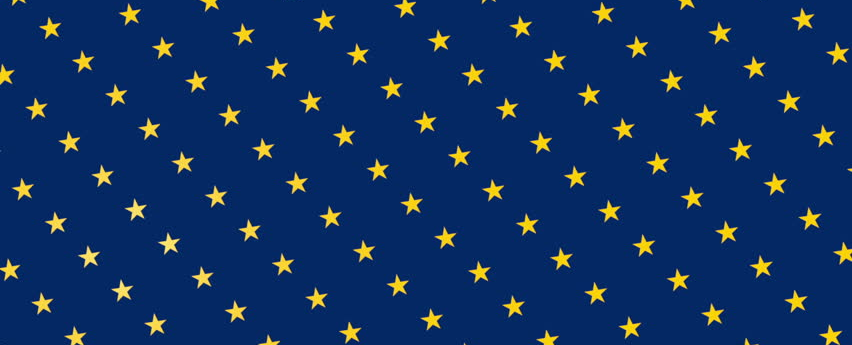 Nev (likes light) banner