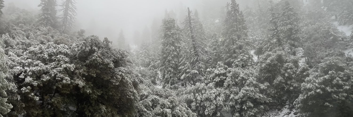 Eli♨︎_♨︎ banner