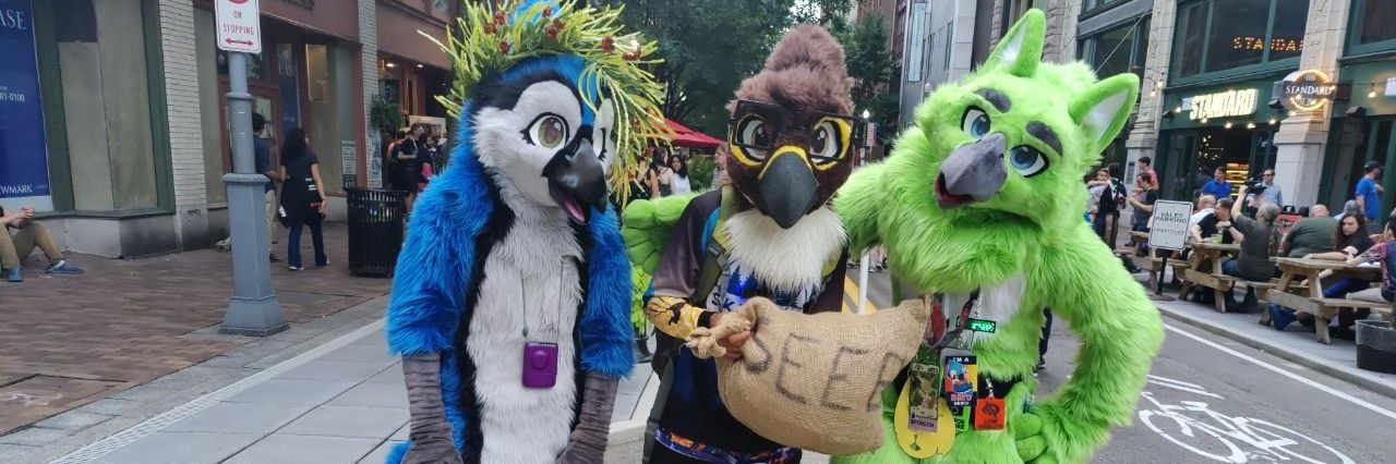 Jay Gryphon (the green one!) banner