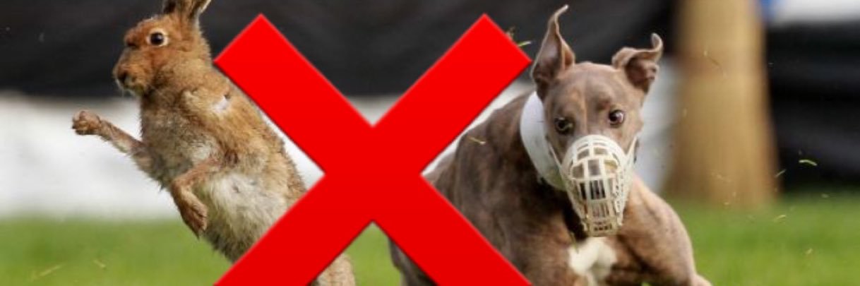 MillstreetsayNO's profile banner image