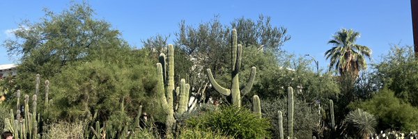 1_nmilburn Profile Banner