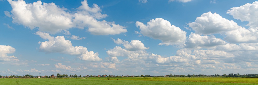 eowijers's profile banner image