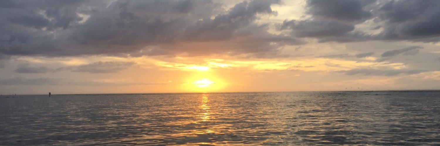 marissamaulbeck's profile banner image