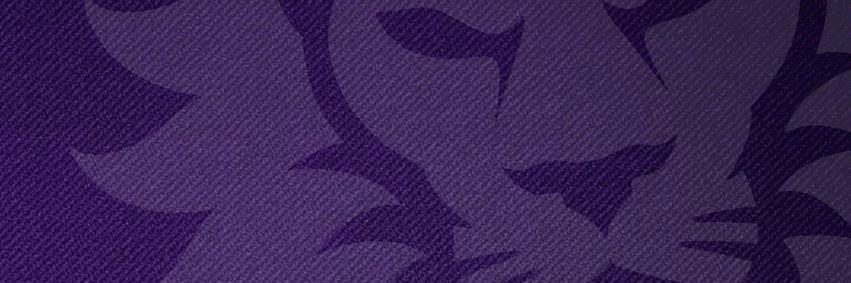 mozzzzerella's profile banner image