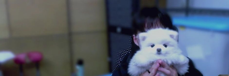 maemeemoo's profile banner image