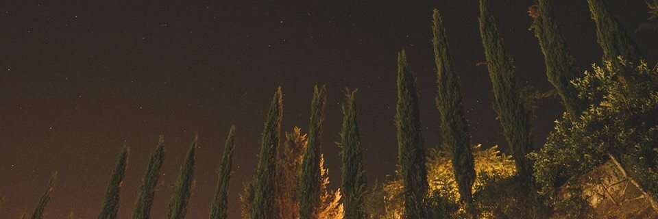 lightningphox's profile banner image