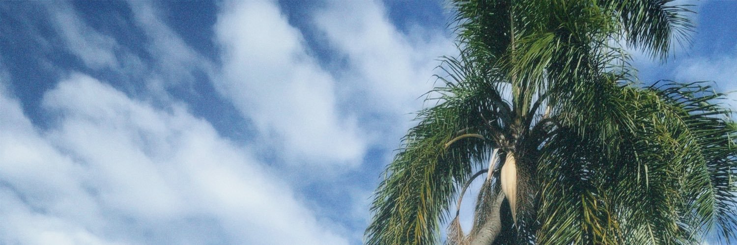daniela's banner