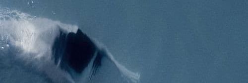 ชาบูเลิฟเว่อ//อ่านไบโอ👀 banner