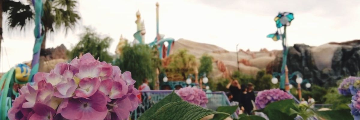 vpdrnls95's profile banner image