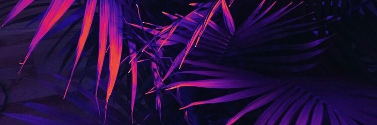 Ase4kaaa's profile banner image