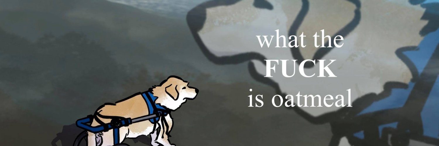 TheFakeYamsmoon's profile banner image