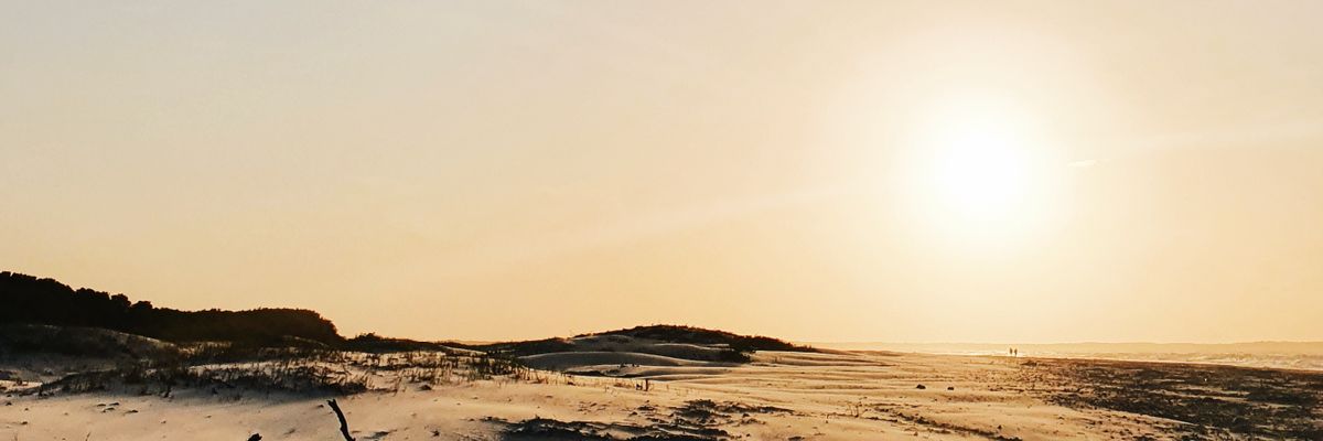 lynaoikawa's profile banner image