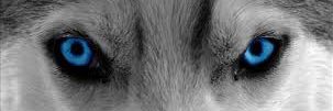 themonstar__'s profile banner image
