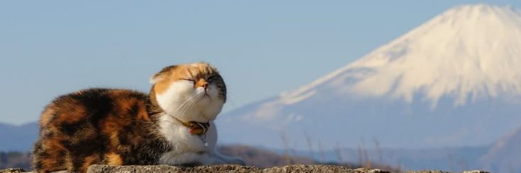 bunrieuJ's profile banner image