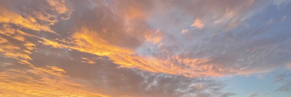 MaxWrottesley Profile Banner