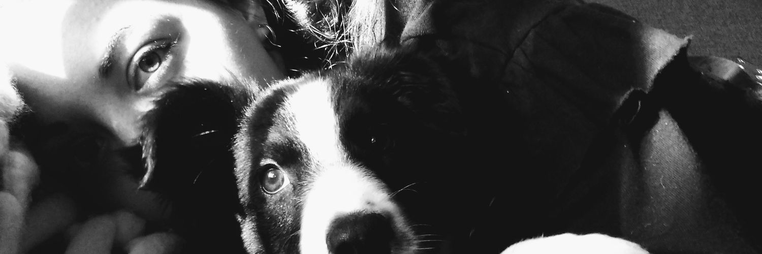 EliGuzmann's profile banner image