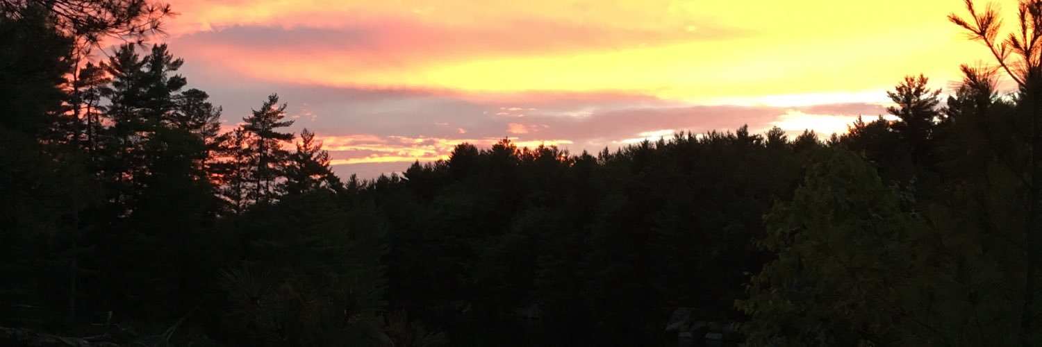 Molly Irwin banner