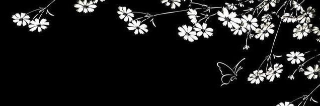 Nevihta_2's profile banner image