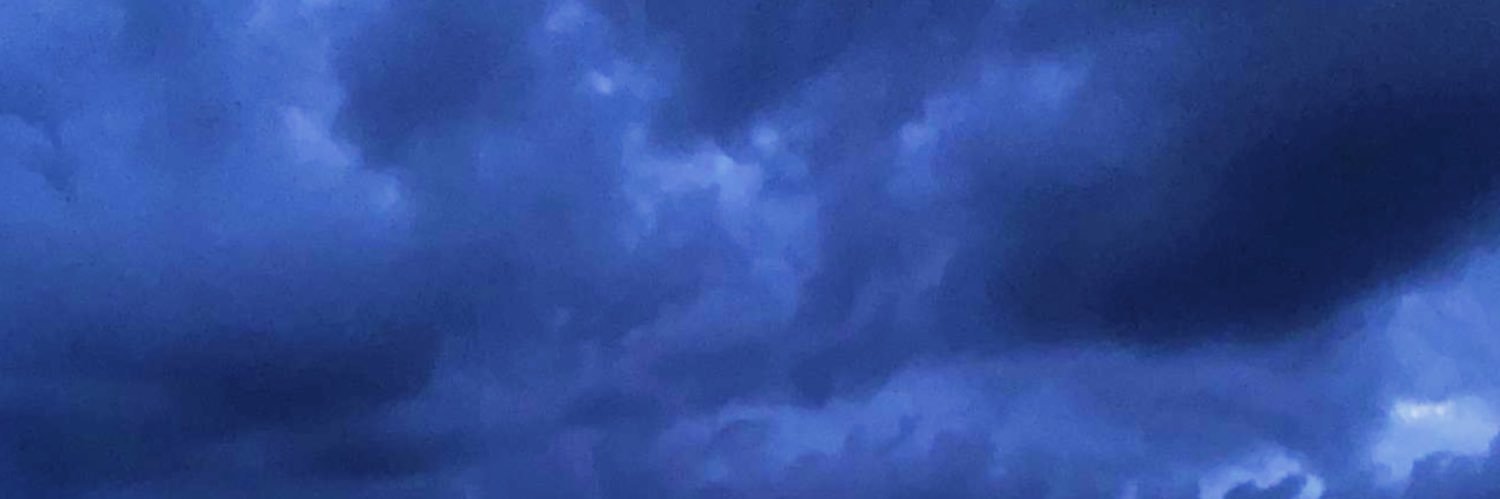 haley_driggers's profile banner image