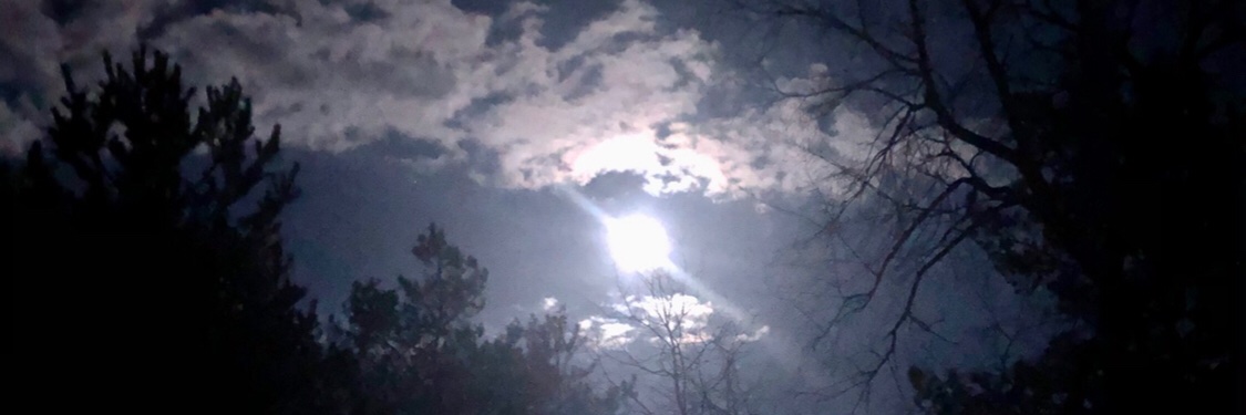 MelissaDobson's profile banner image