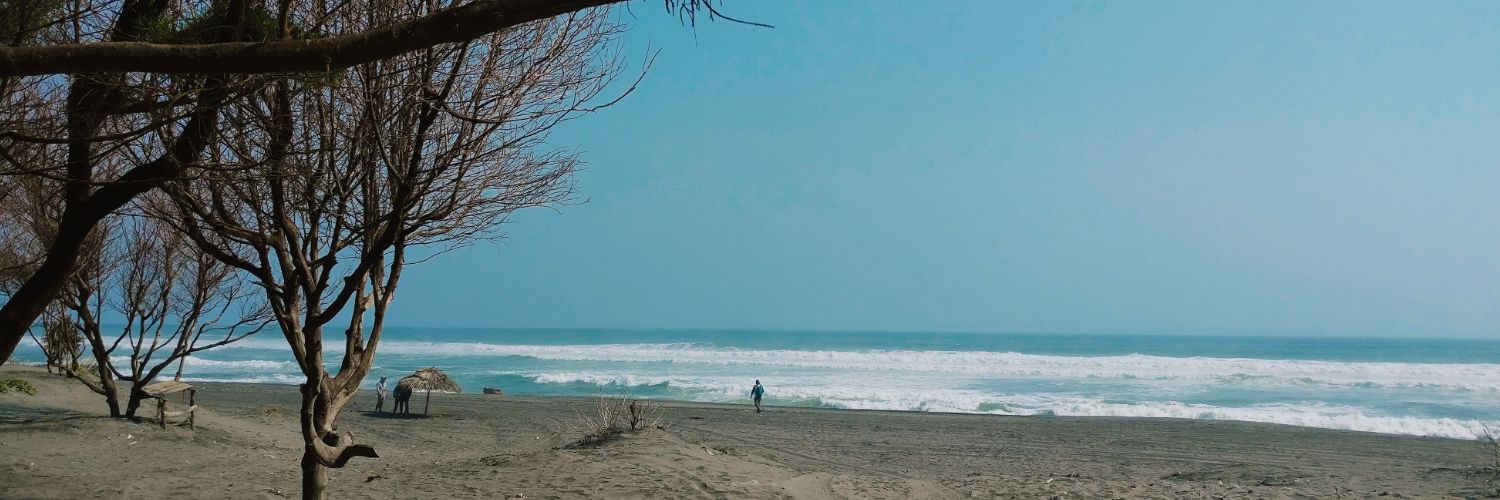 lanynaa's profile banner image