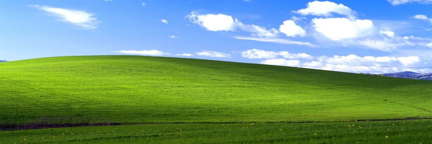 M for W banner