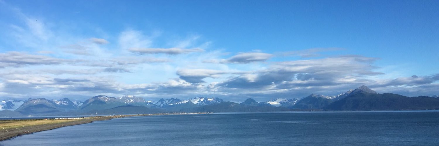 AndresPenfold's profile banner image