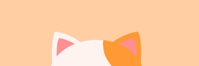 챙냥이🐱 banner