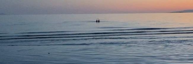 Sharon Colvin banner