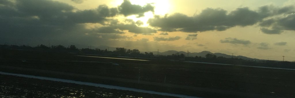 珊瑚の指輪 banner