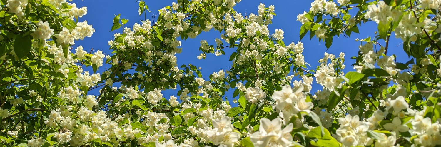 trlp 🇪🇪🇺🇦 banner