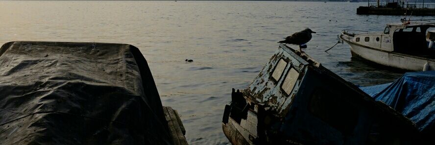 Murat Önderman banner