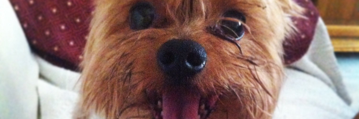 JVIDALM's profile banner image