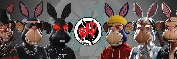 BoredBunnyNFT Profile Banner