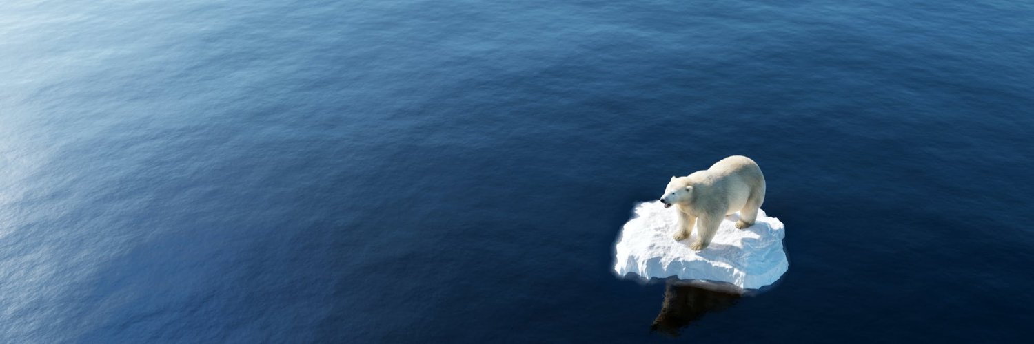 Climate Army Africa  banner