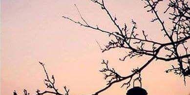 J_bint_M's profile banner image